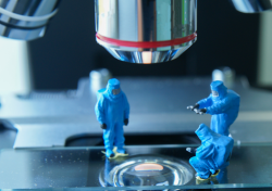 Wastewater Microscopic Examinations